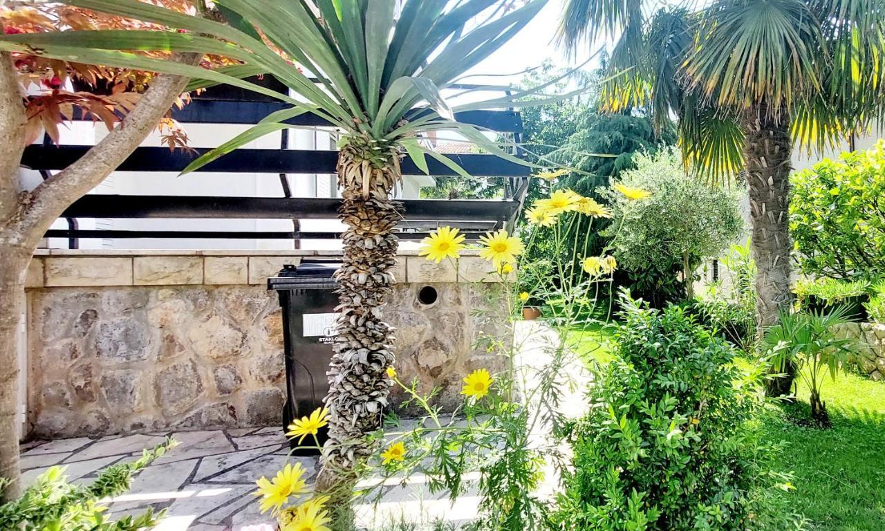 Apartment Bella 1